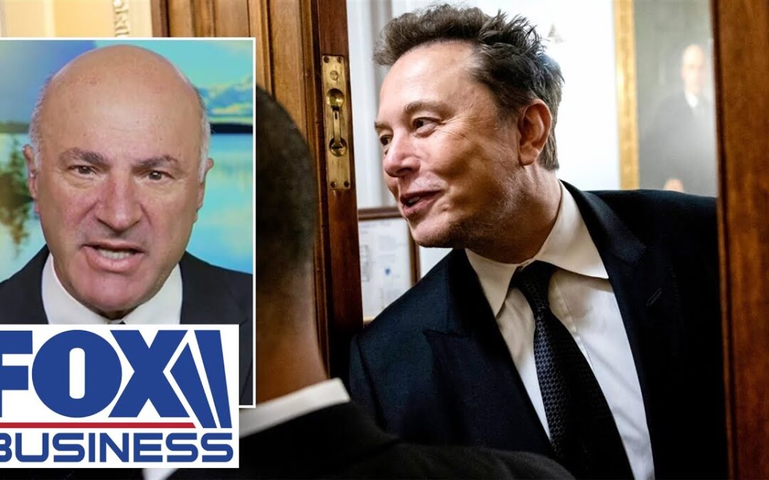 Kevin O’Leary: Elon Musk in Trump’s cabinet ‘would be a good thing for everybody in America’